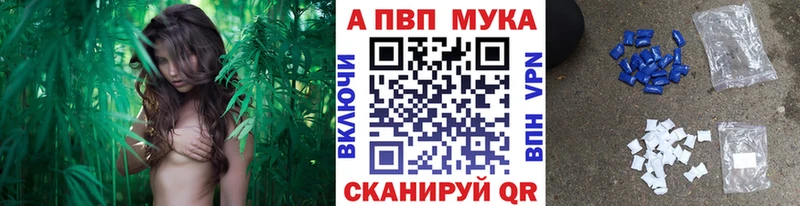 купить наркотики цена  ОМГ ОМГ как войти  А ПВП СК  Шенкурск 