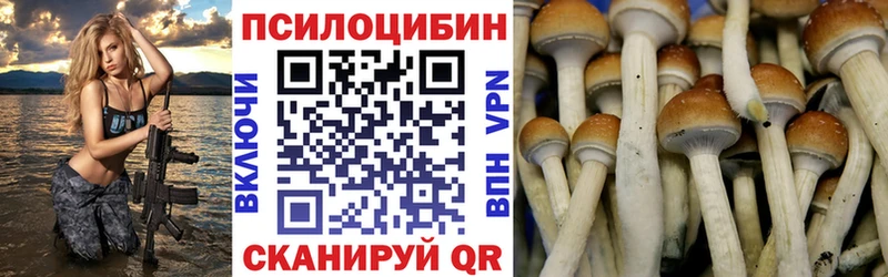 Галлюциногенные грибы Psilocybe  как найти закладки  Шенкурск 