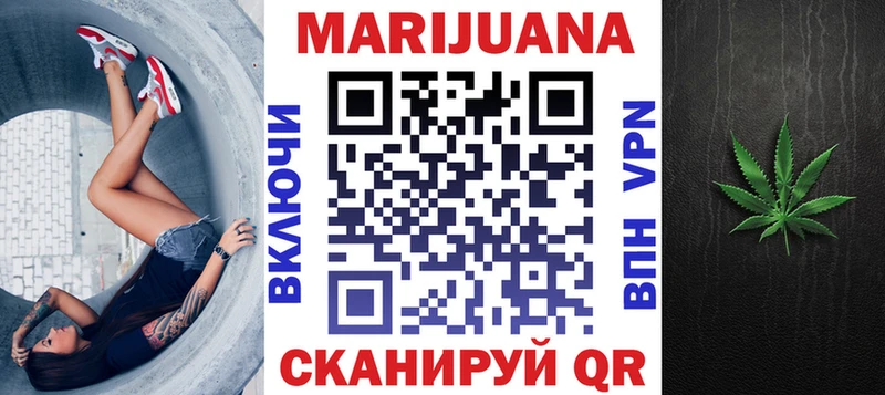 MEGA как зайти  Шенкурск  Бошки Шишки SATIVA & INDICA 